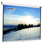 Celexon screen Manual Professional